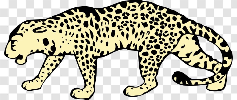 Amur Leopard Black Panther Jaguar Cheetah Felidae - Carnivoran - Baseball Cliparts Transparent PNG