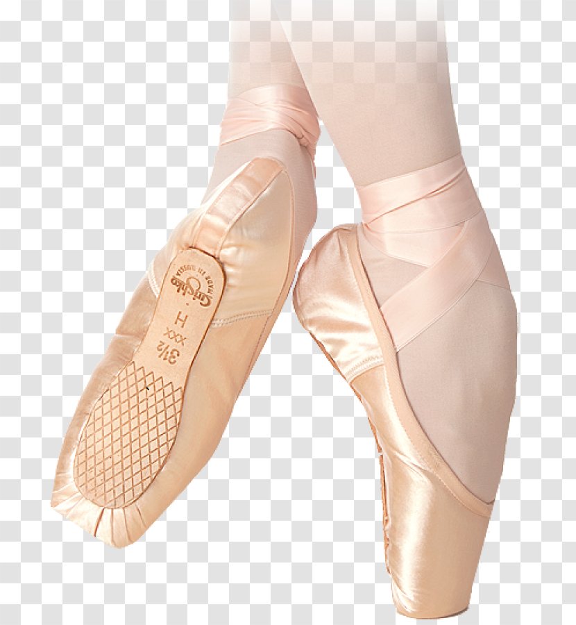 Pointe Shoe The Of Dance Ltd. Ballet Technique - Flower Transparent PNG