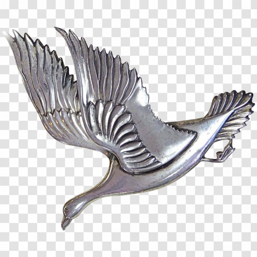 Bird Wing Feather Beak - Goose Transparent PNG