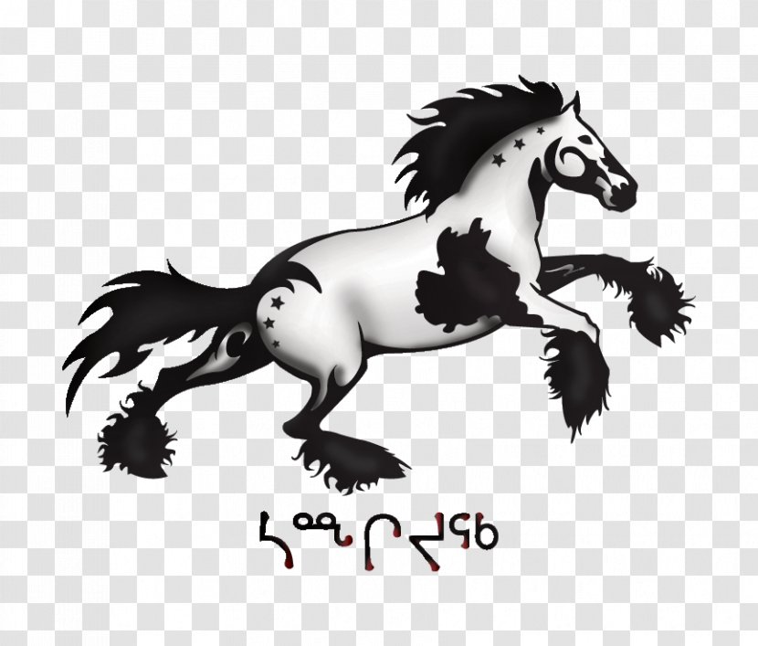 Mane Mustang Pony Stallion Pack Animal - Carnivoran - Gypsy Horse Transparent PNG