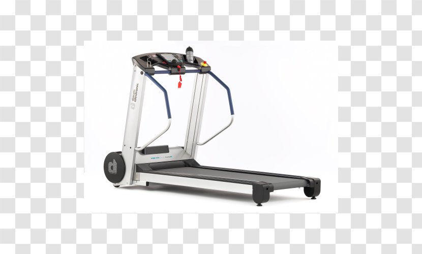 Treadmill Weightlifting Machine Aerobic Exercise ERGO Group - Daum Electronic Gmbh - Electroimpulso Transparent PNG
