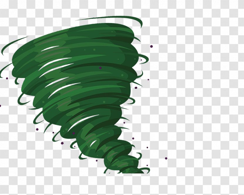Tornado Download Storm - Leaf - Green Transparent PNG