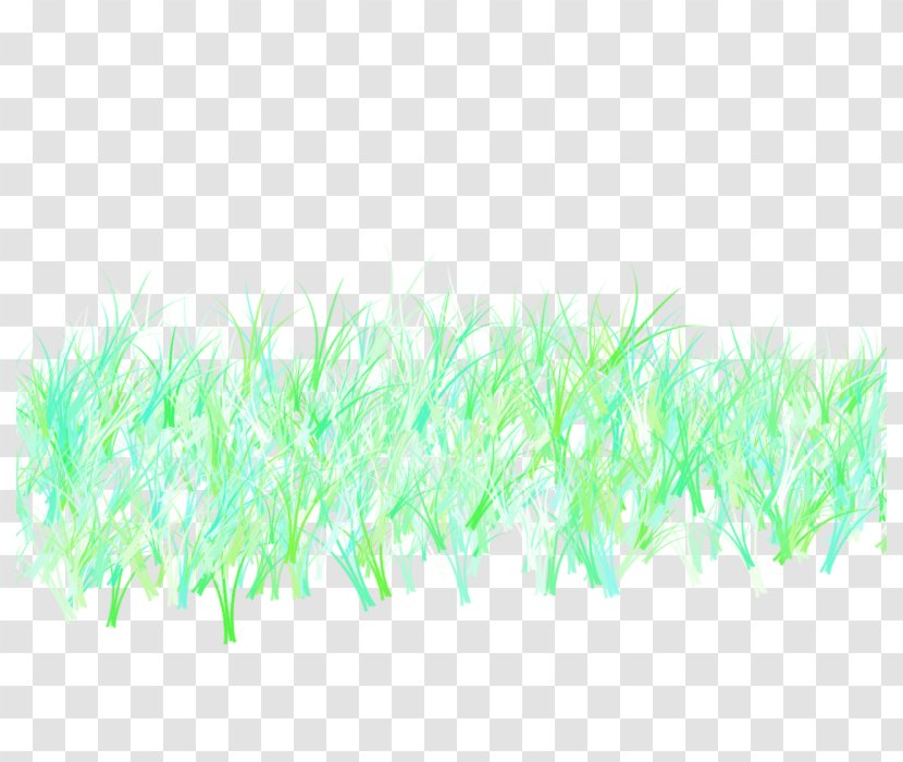 Green Pattern - Text - Grass Transparent PNG