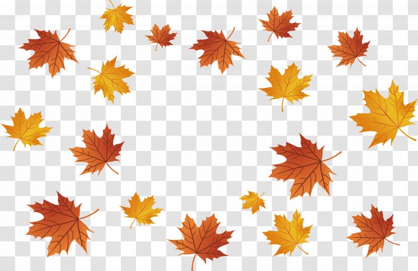 Maple Leaf - Orange - Leaves Falling Transparent PNG