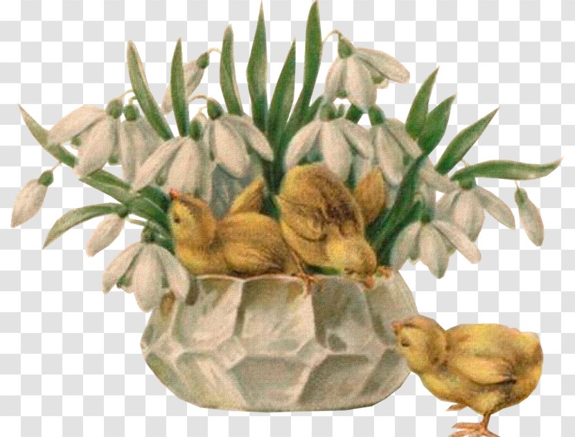 Flowerpot Fruit Vegetable Grasses - Grass Family - Easter Eggs Nest Transparent PNG