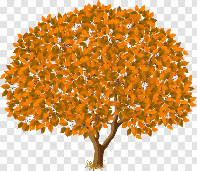 Tree Autumn Clip Art - Pixel Transparent PNG