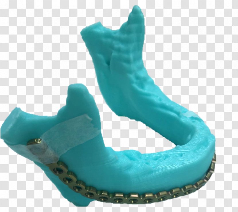 Marine Mammal Turquoise Shoe - Footwear - Opi Model Transparent PNG