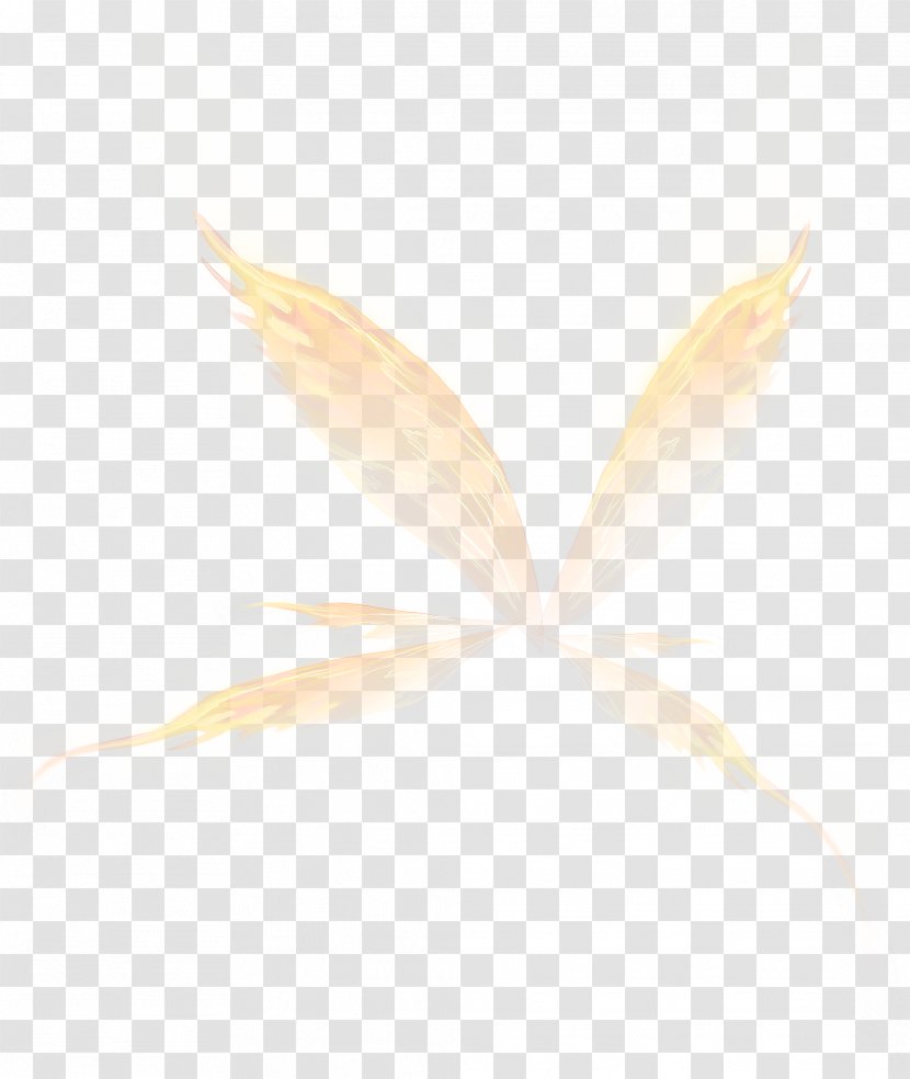 White Angle Pattern - Texture - Creative Wings Transparent PNG