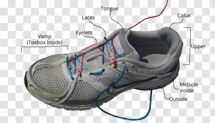 Sports Shoes Footwear Boot High-top - Botina Transparent PNG