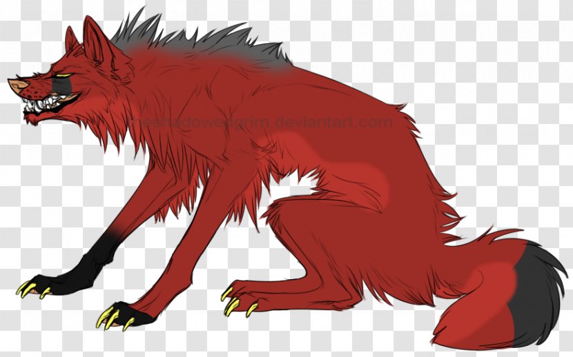Fox Schipperke Black Wolf Canidae Snout - Werewolf Transparent PNG