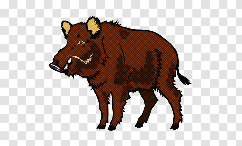 Boar Suidae Livestock Warthog Bison Transparent PNG