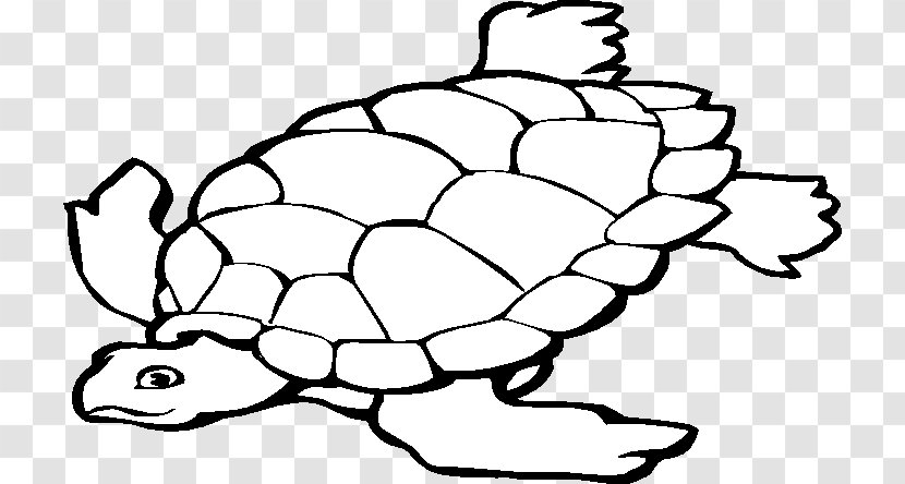 Sea Turtle Background - Plant Transparent PNG