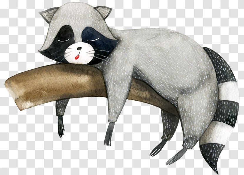 Raccoon Desktop Wallpaper Huawei Y5 II - Pug Transparent PNG