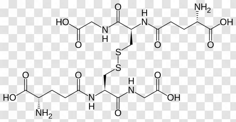 Glutathione Disulfide Redox S-Nitrosoglutathione - Binding Transparent PNG