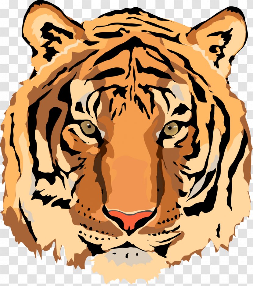 Tiger Clip Art - Terrestrial Animal Transparent PNG
