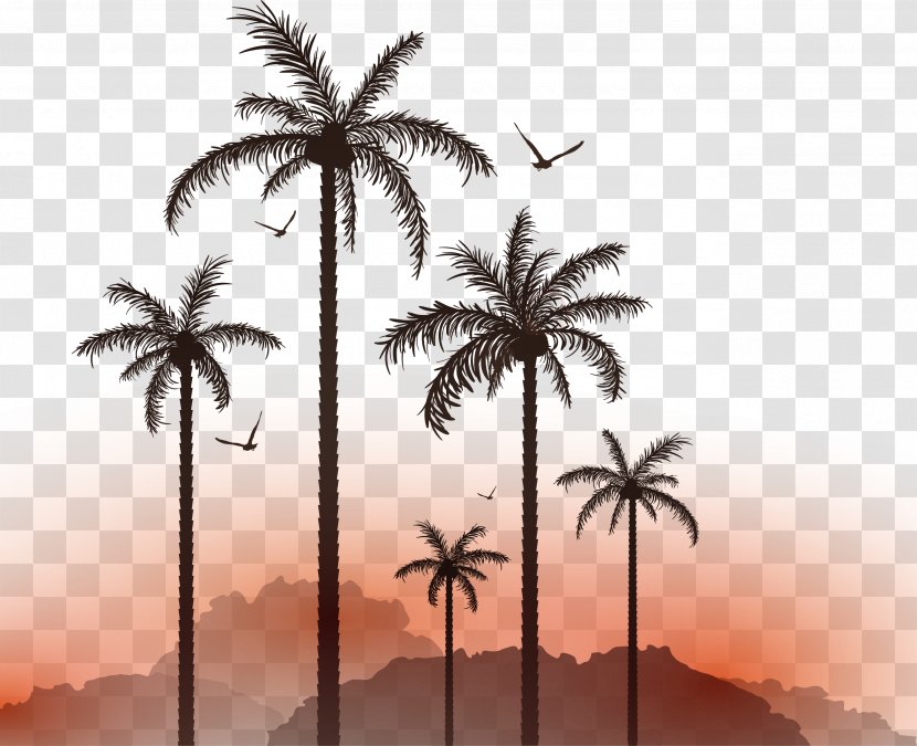 Euclidean Vector Illustration - Date Palm - Coconut Tree Sunset Seagull Plant Material Transparent PNG