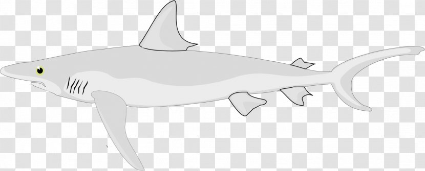 Requiem Shark Chondrichthyes Fish Transparent PNG