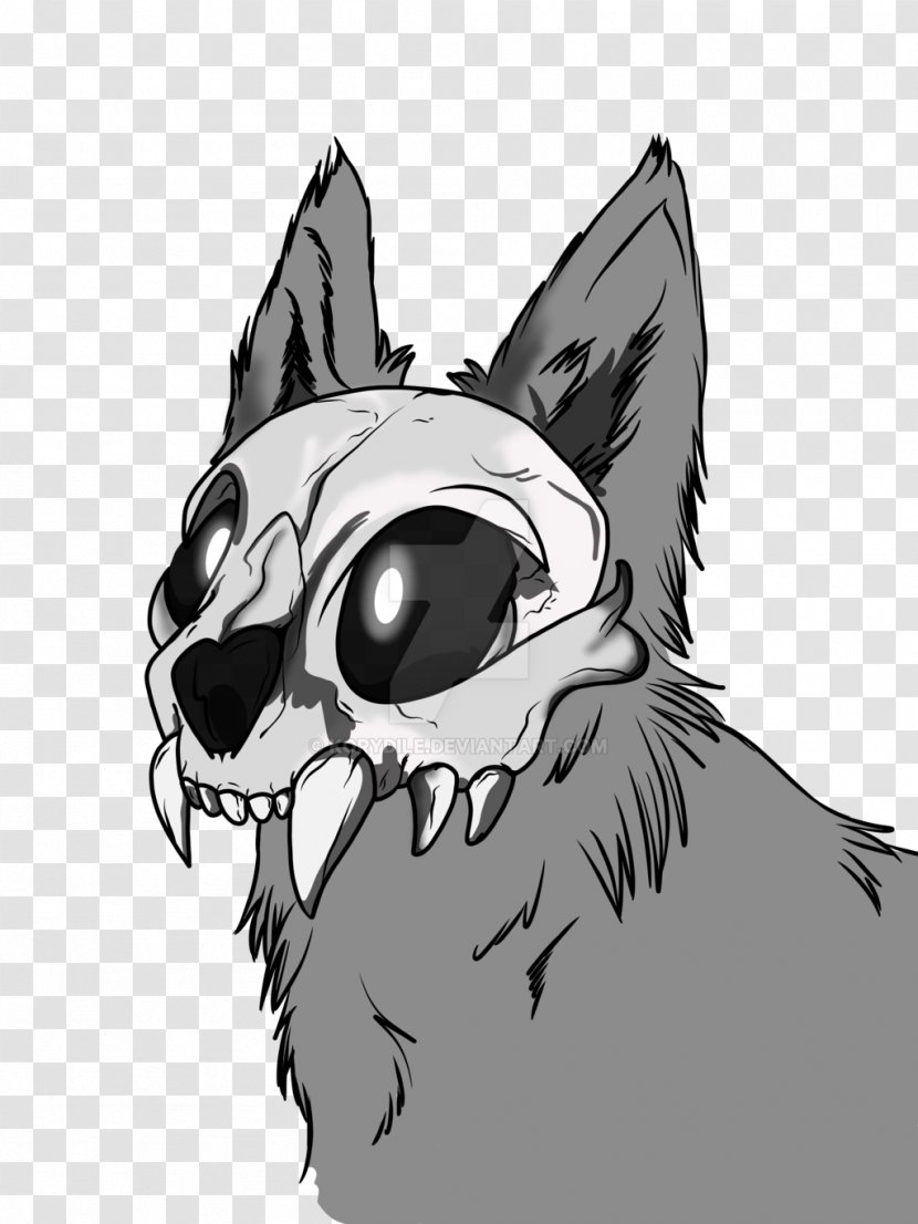 Whiskers Cat Drawing Dog Skull - Fan Art Transparent PNG