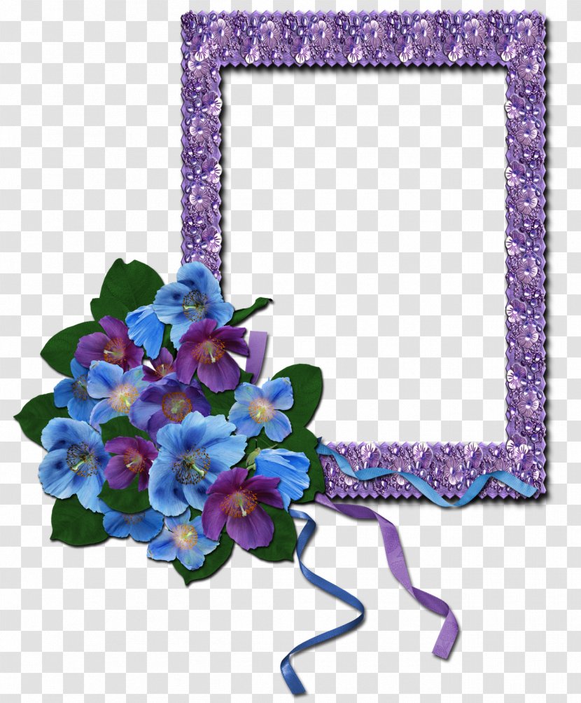 Cut Flowers Picture Frames Floral Design Violet - Petal - 8 March Transparent PNG