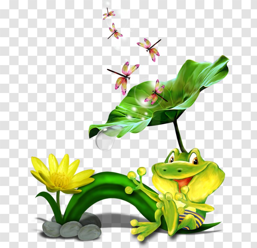 Tree Frog True Clip Art - Grenouille Transparent PNG