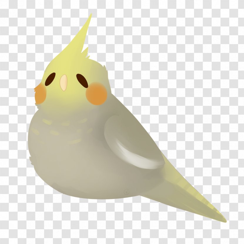 Beak Water Bird Transparent PNG