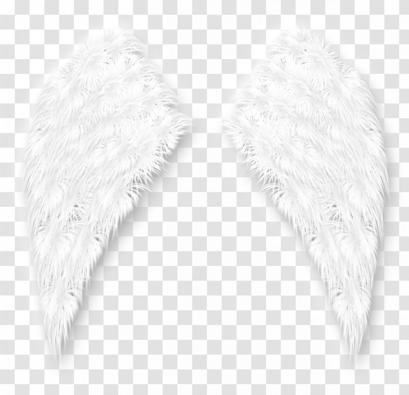 White - Feather - Angels Wings Transparent PNG