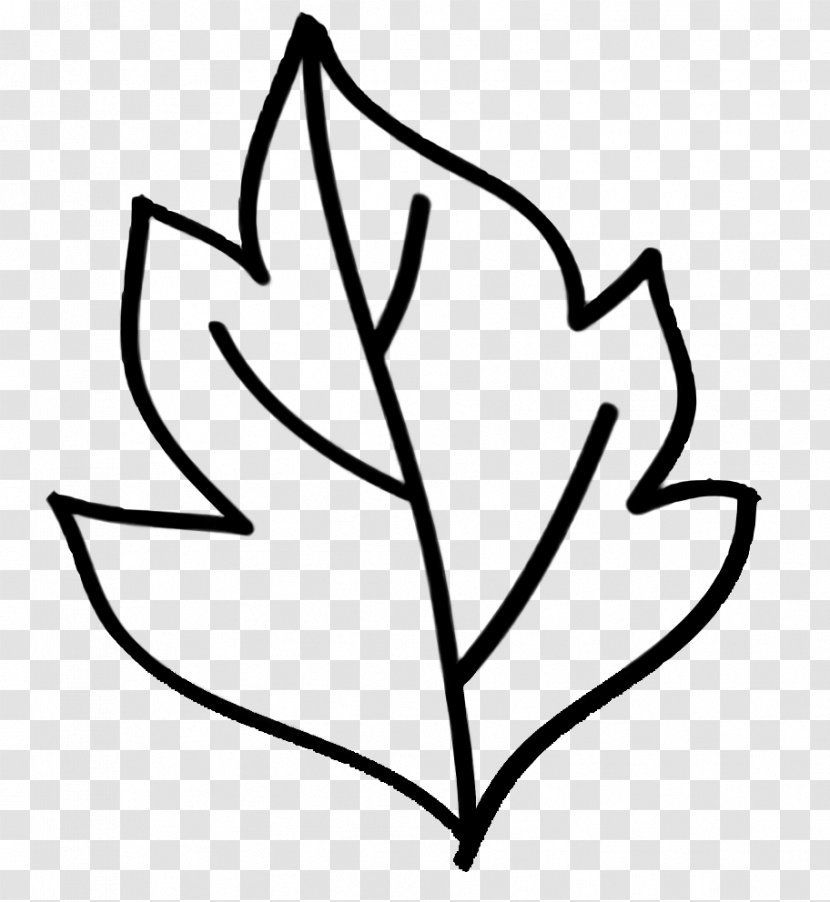 Tree Leaf - Plant Transparent PNG