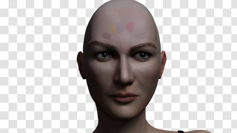 Nose Forehead Chin Homo Sapiens Eyebrow - Human Transparent PNG