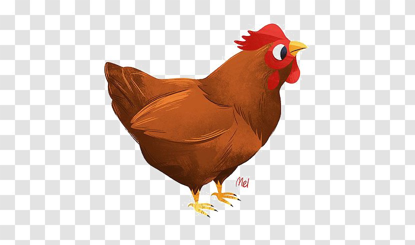 Rooster Chicken Cartoon Illustration - Cock Transparent PNG