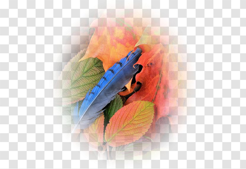 Leaf Tree Clip Art - Actividad Transparent PNG