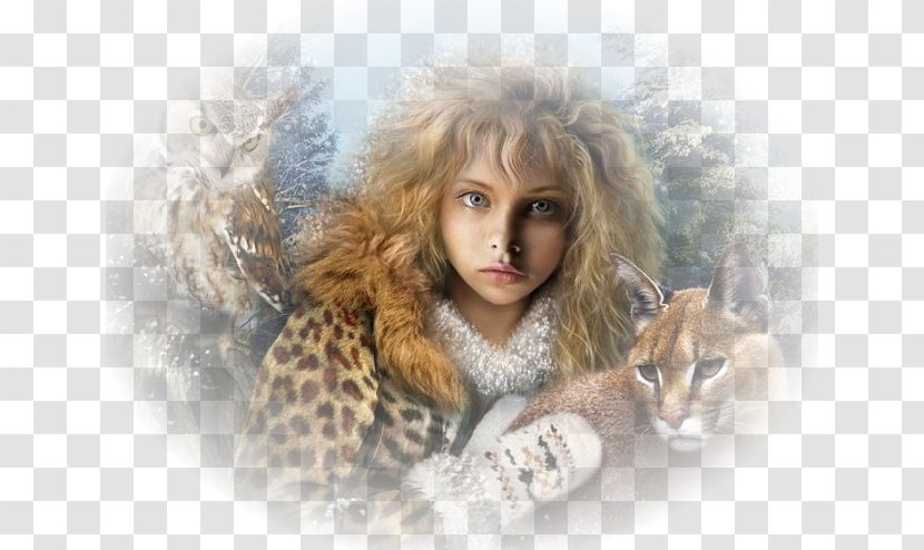 Fairy Fantasy Lynxes Cat Elf - Art Transparent PNG