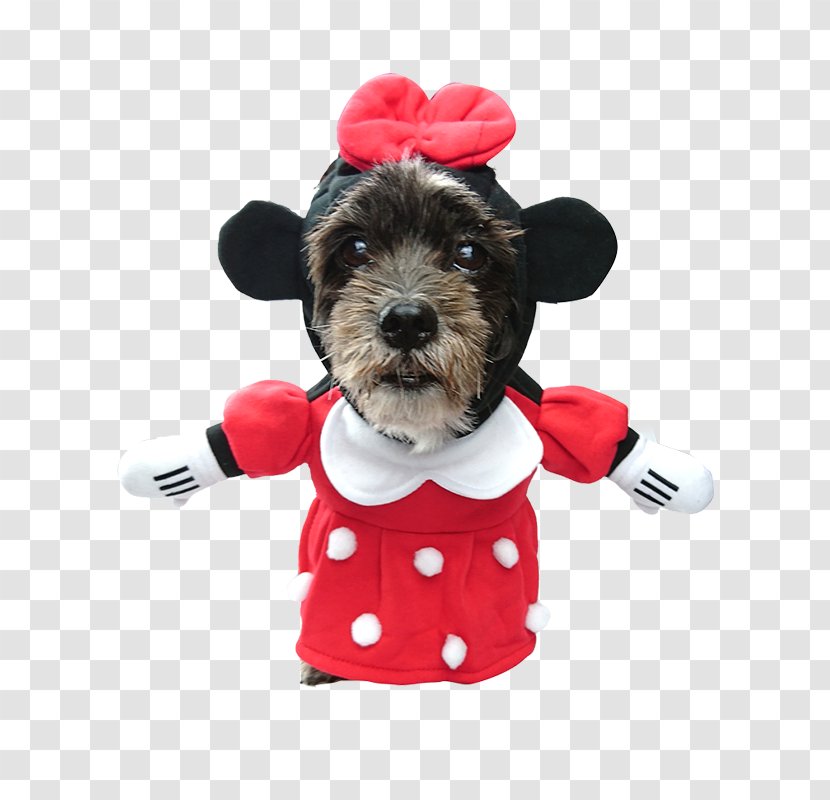 Dog Breed Minnie Mouse Dachshund Puppy Mickey - Zuchon Transparent PNG