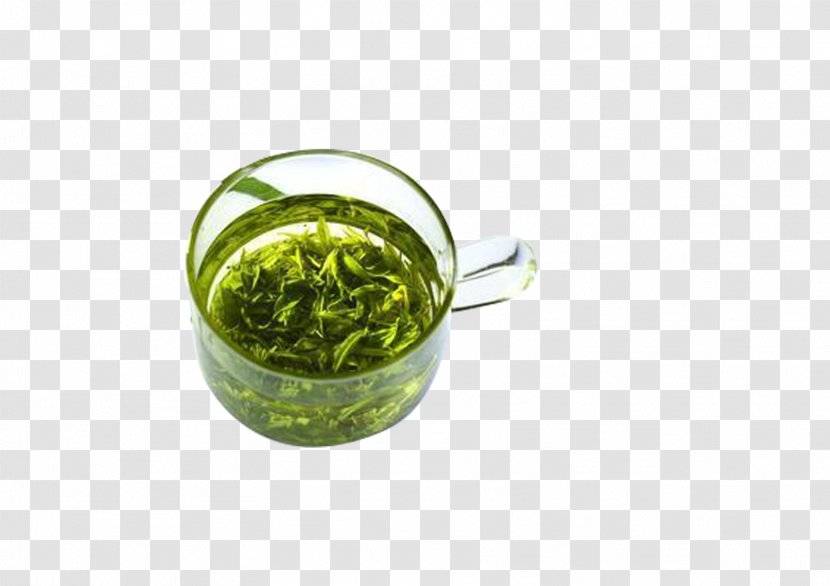 Green Tea Leaf Vegetable Tableware Recipe - Delicious Transparent PNG