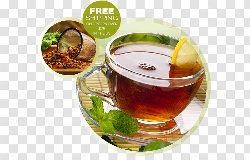 Intestine Medicinal Plants Health Medicine - Tea - Herbal Transparent PNG
