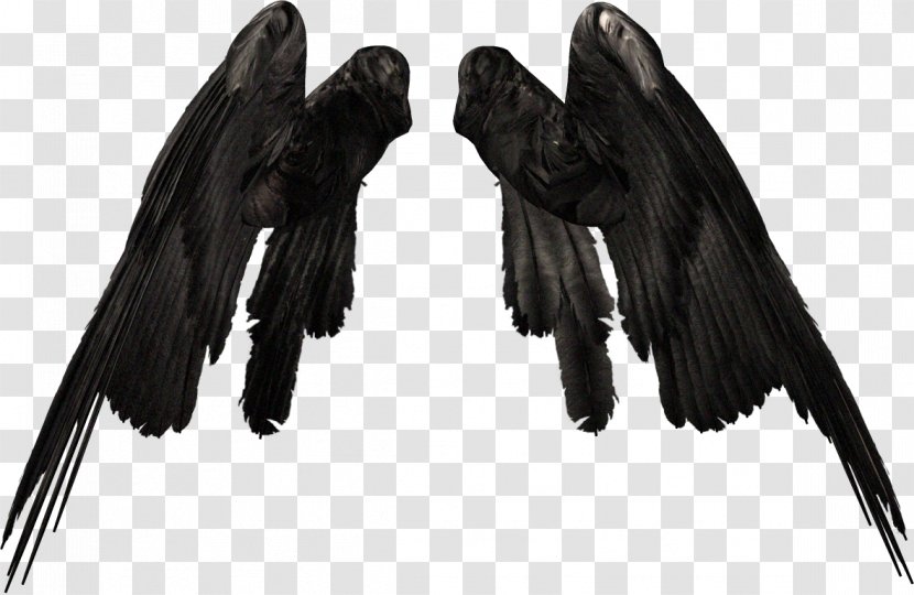 Wing Angel Clip Art - Devil Wings Transparent PNG