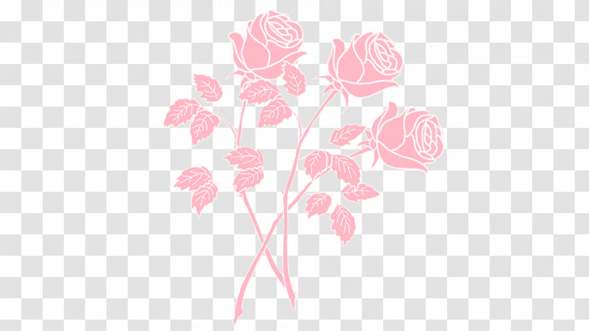 Rose Transparent PNG