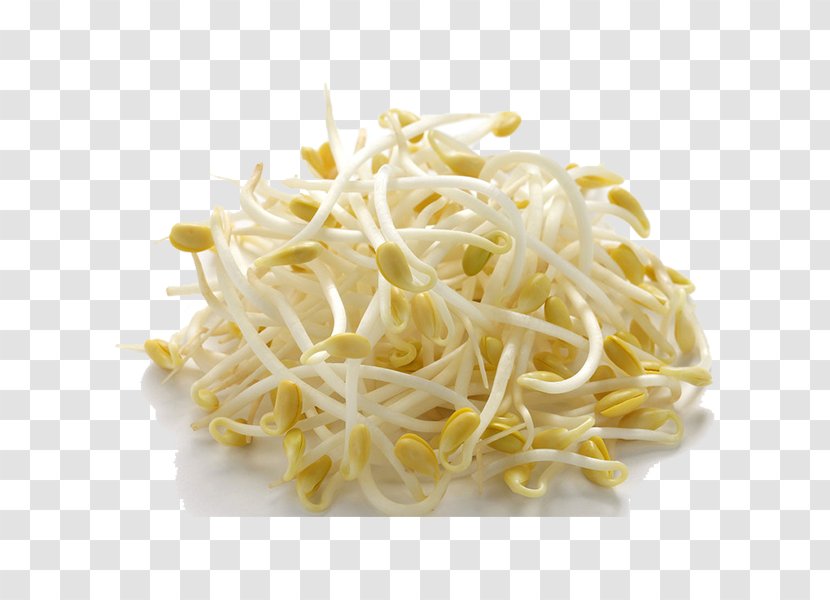 Soybean Sprout Asian Cuisine Sprouting Mung Bean - Vegetable Transparent PNG