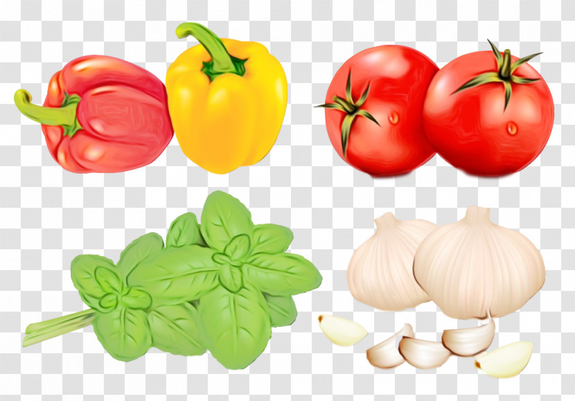 Tomato Transparent PNG