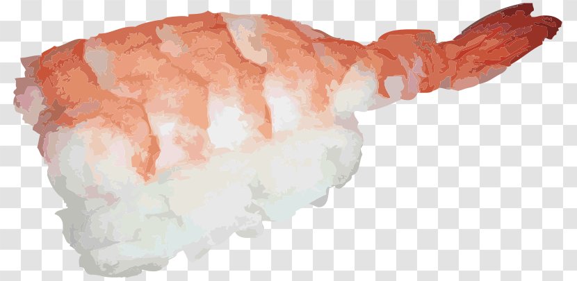 Sushi Fish Onigiri Makizushi Clip Art Transparent PNG