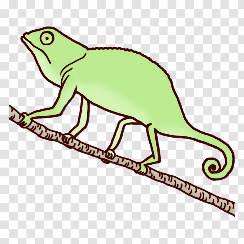 Reptiles Amphibians Line Art Meter Area Transparent PNG