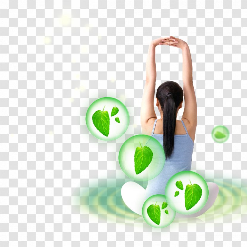 Leaf Green Red - Water - Yoga Transparent PNG