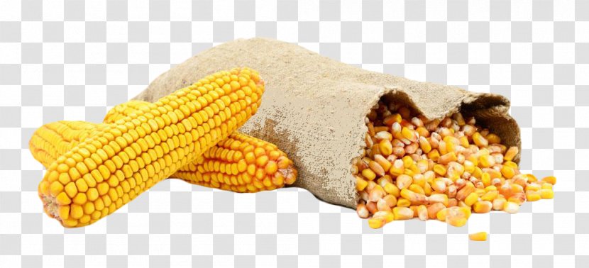 Waxy Corn Bag Kernel Sweet Animal Feed - Grain Transparent PNG