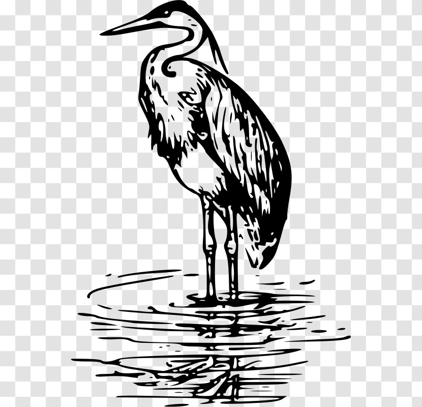 The Lonely Heron Crane Bird Clip Art - Wing - Sea Transparent PNG
