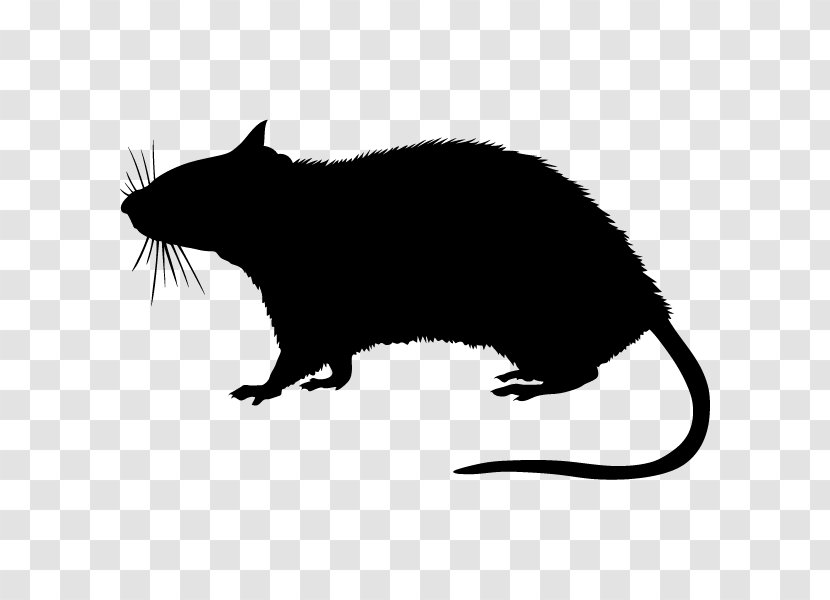 Rodent Stock Photography Silhouette - Royaltyfree Transparent PNG