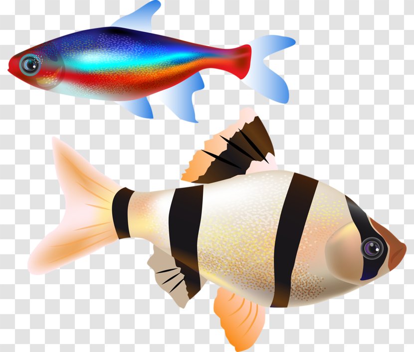 Fish Clip Art - Tail Transparent PNG