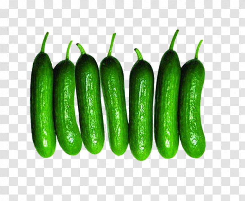 Cucumber Serrano Pepper Vegetable Melon Food - Natural Foods Transparent PNG