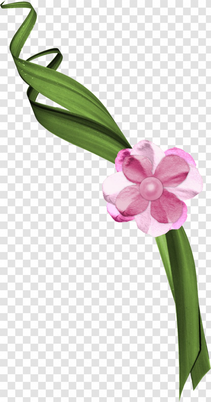 Floral Design Cut Flowers Flower Bouquet Plant Stem - Arranging Transparent PNG