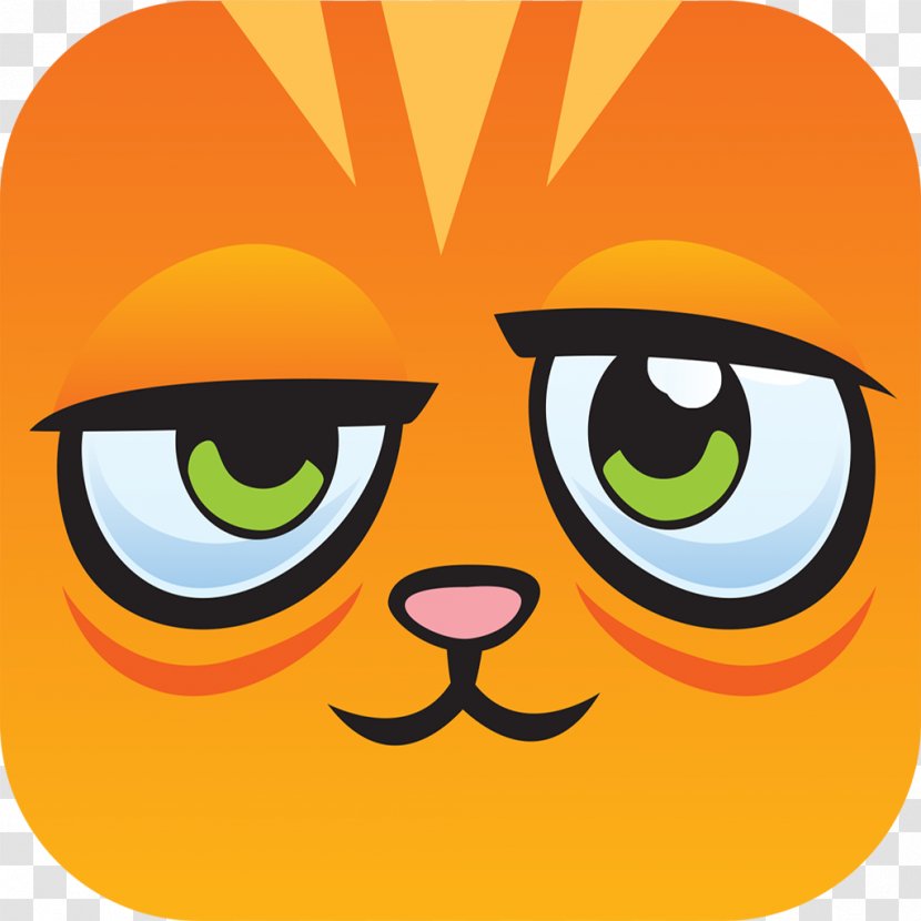 Cat Ready Free Turn Your Destiny Android - Pumpkin - Kiwi Bird Transparent PNG