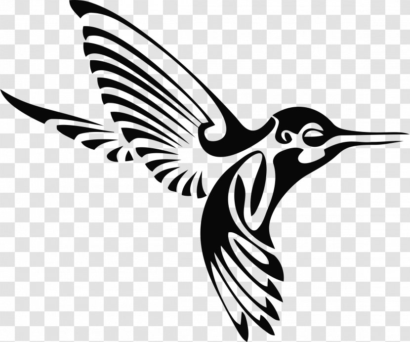 Hummingbird Silhouette Drawing Clip Art - Monochrome Photography Transparent PNG