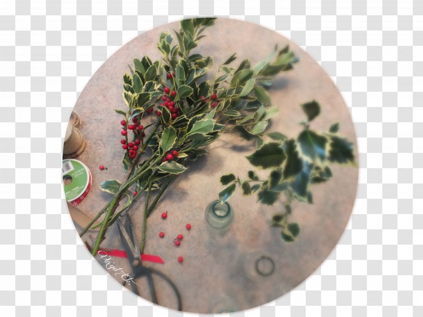 Christmas Ornament Herb - Flora Transparent PNG
